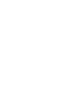 Layer-1-copy