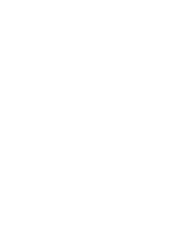 Layer-1-copy.png